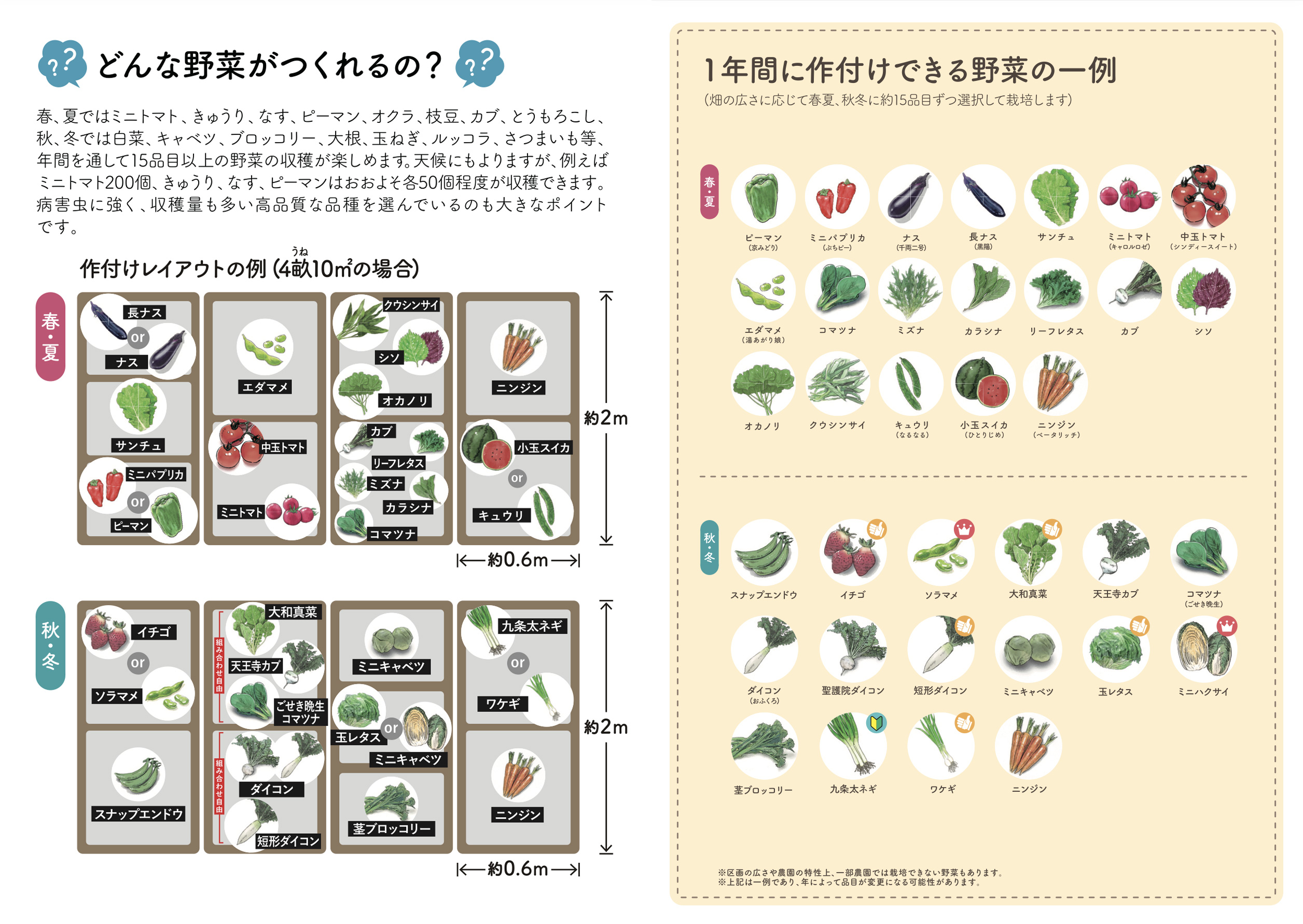 栽培テキスト動画マニュアル